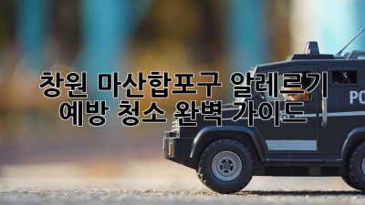창원 마산합포구 알레르기 예방 청소 완벽 가이드