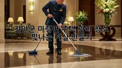진안군 마령면 주택 관리 청소: 빛나는 거실 만들기
