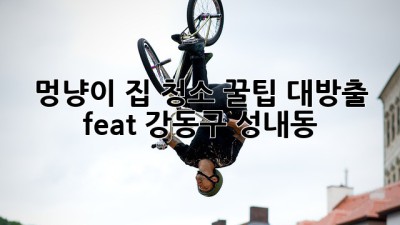 🐶 🐱 멍냥이 집 청소🧹✨ 꿀팁 대방출! (feat. 강동구 성내동)